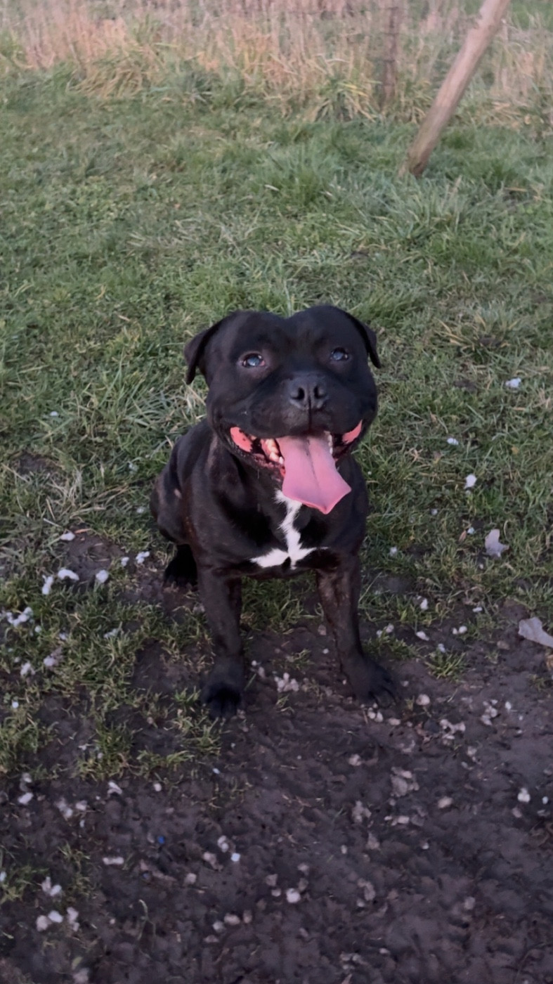 Tairo Des Satin A Salazie