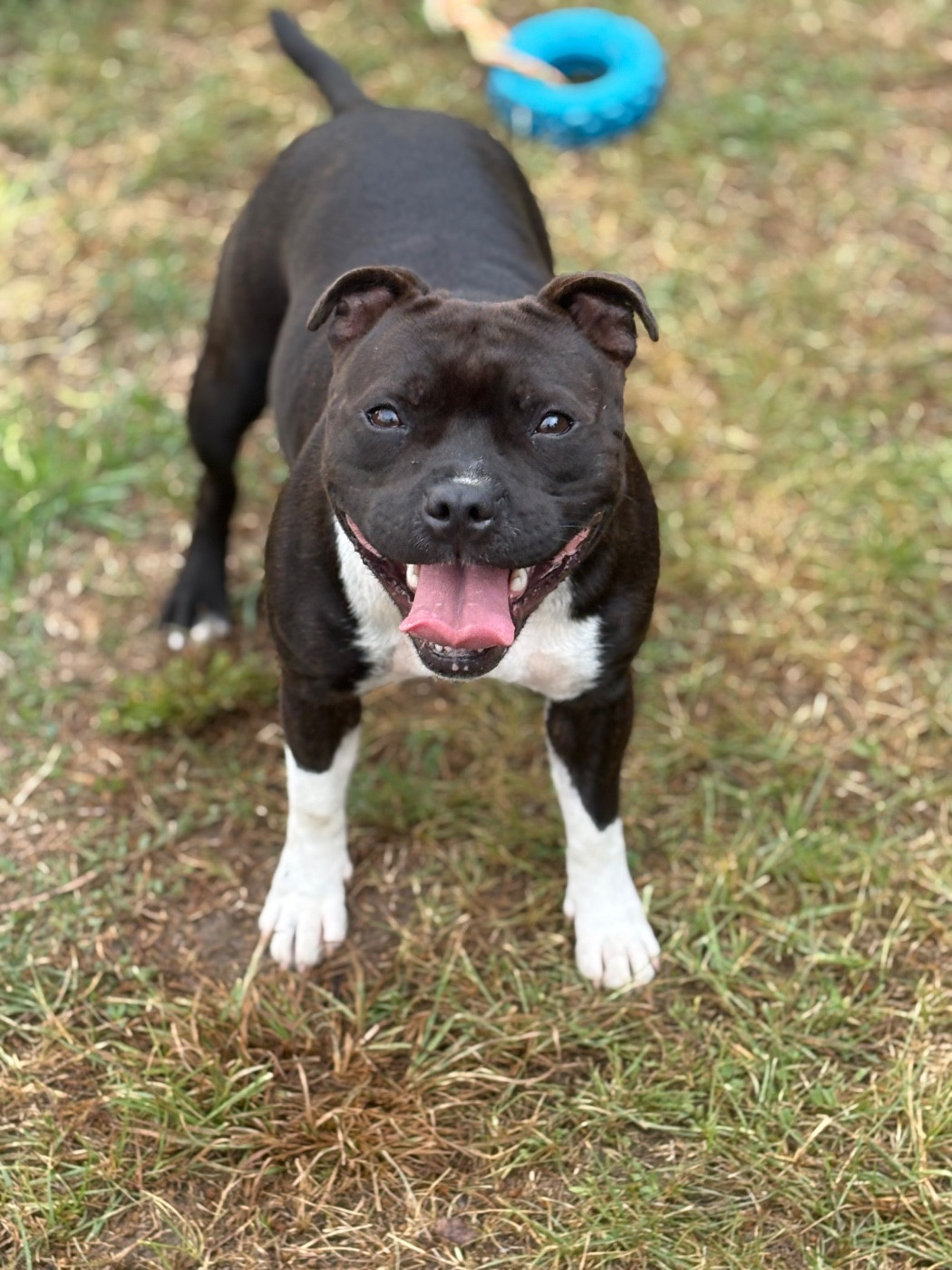 Vanille dit Vita (Sans Affixe)