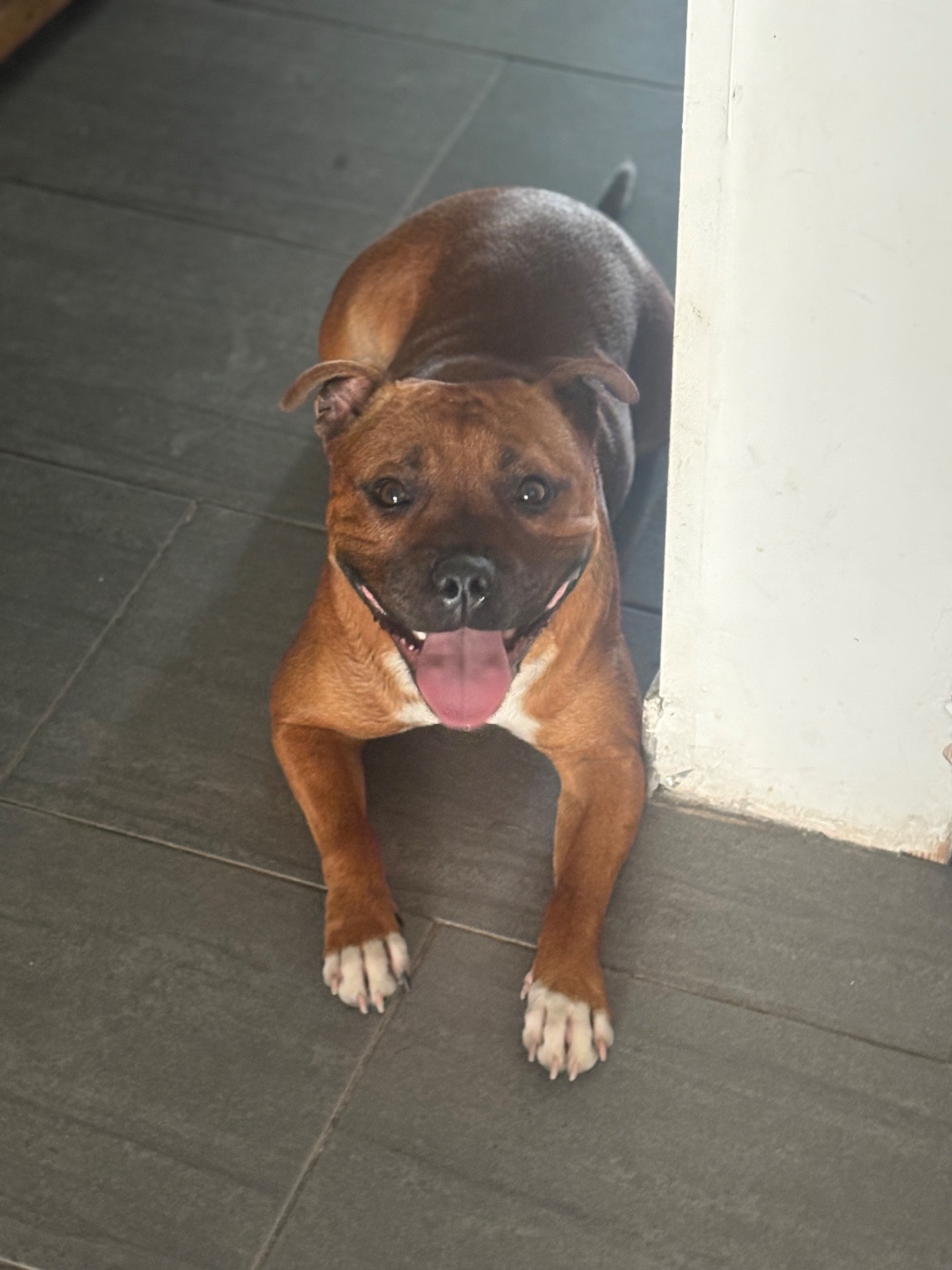 Vaiana Of secret s sources