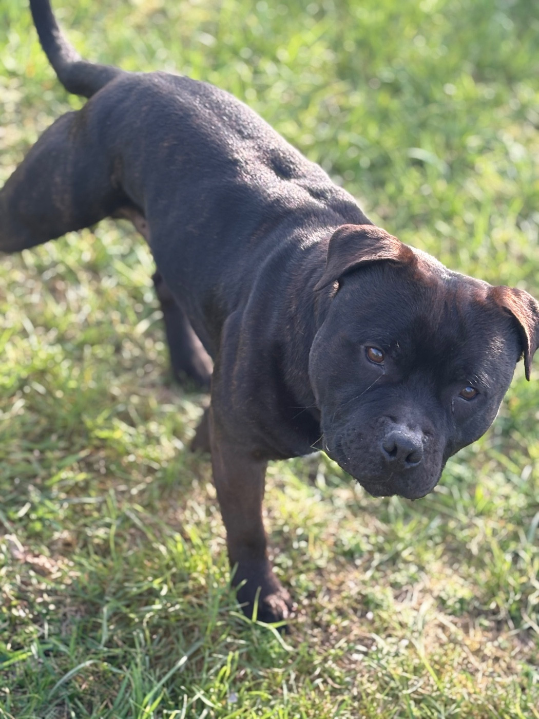 Tairo Des Satin A Salazie